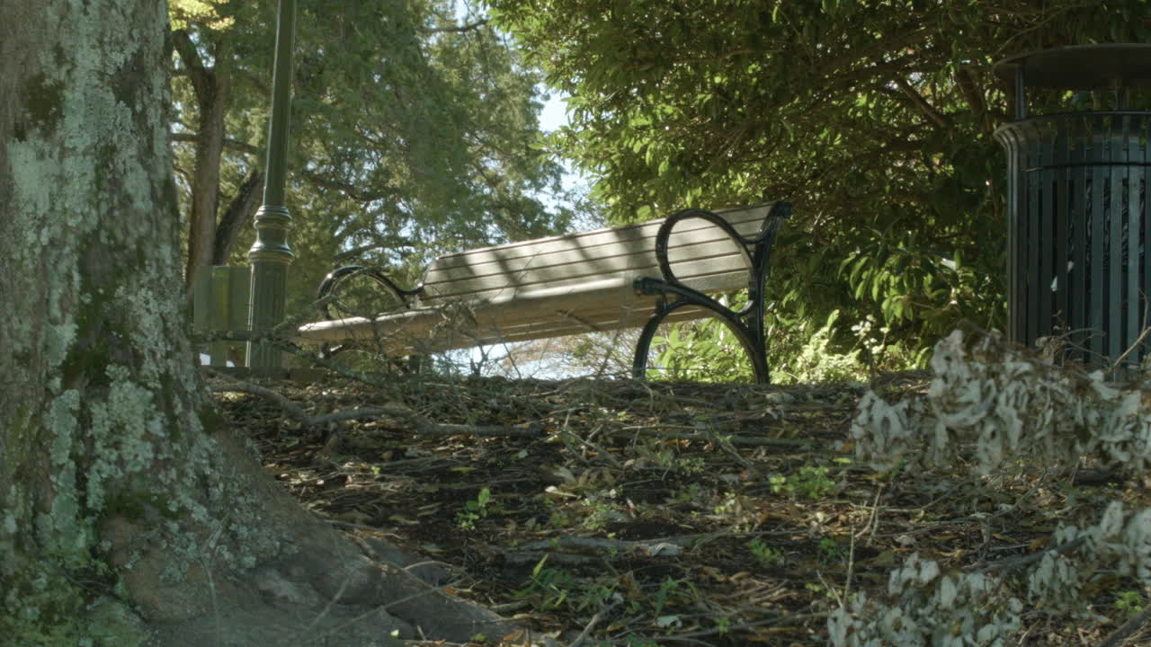 Park bench in fall.  Leaves in foreground. Ominous and foreboding.  Very Exorcist.