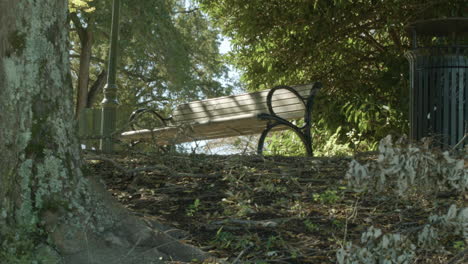 park bench in fall.  leaves in foreground. ominous and foreboding.  very exorcist.