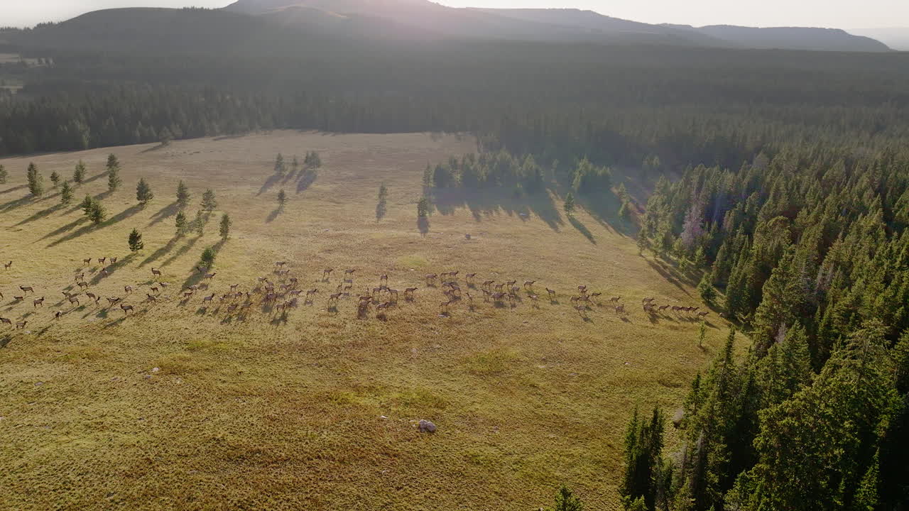 Drone footage unveiling hidden geological marvels across the western U.S. terrain.