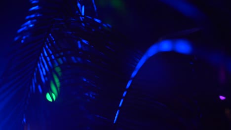 palm trees lit up at night at an event in india with some guests visible in the background.
