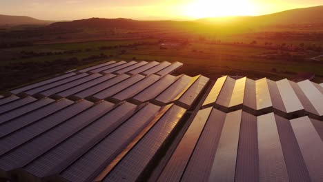 4k-aerial-view-of-Photovoltaic-solar-power-greenhouse-station,-golden-hour