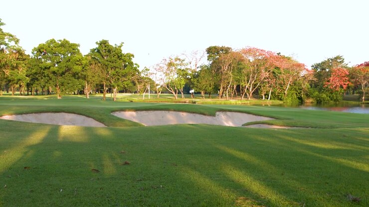 La telecamera si inclina verso l'alto rivelando un fairway di un campo da golf di lusso con bunker di sabbia e alberi tropicali