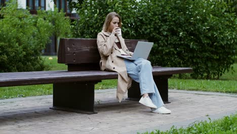 woman working on laptop in a park