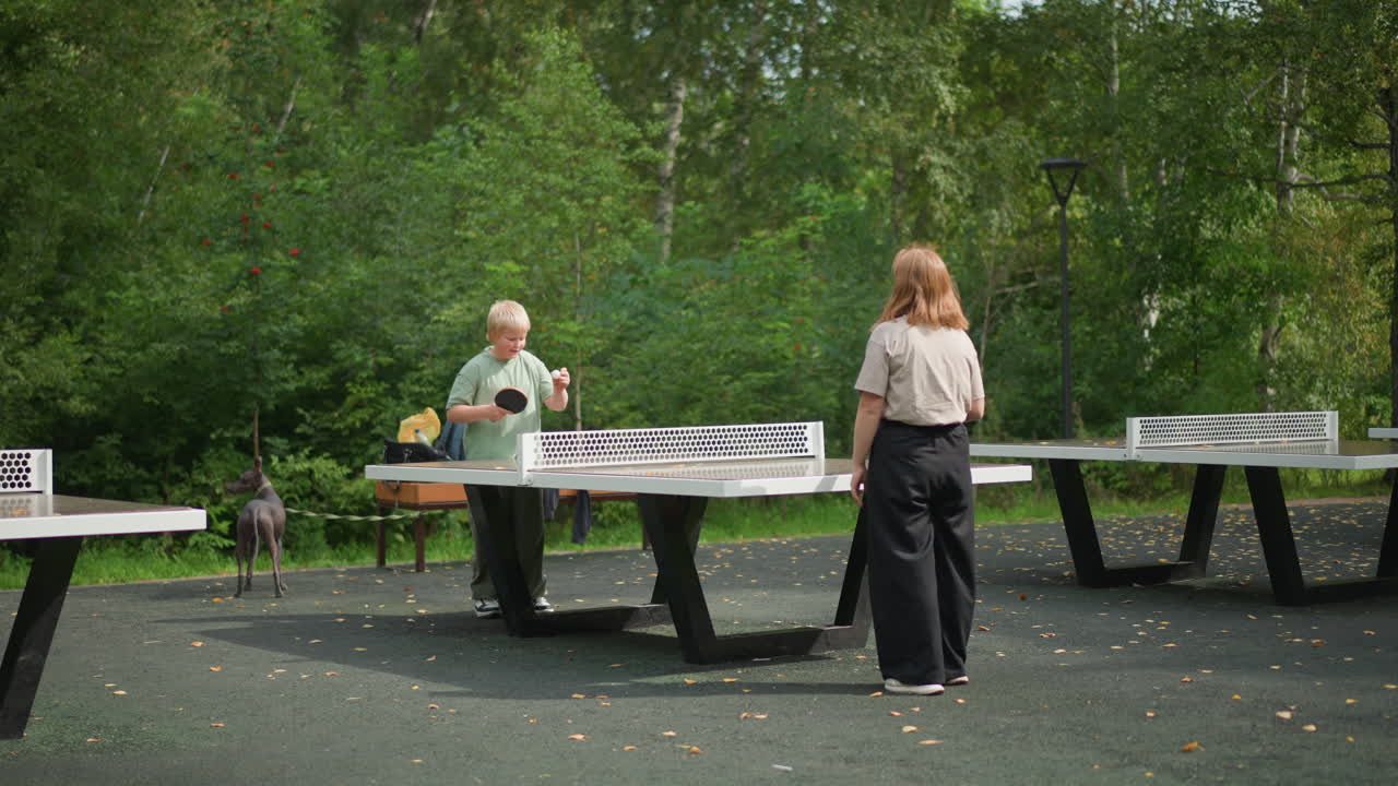Fall Autumn Outdoor, Woman And Boy Among Leaves, Peaceful Scene With Children And Colorful Foliage, Tranquil Autumn Landscape Featuring Woman And Boy Amidst Lively Fall Foliage And Warm Sunlight