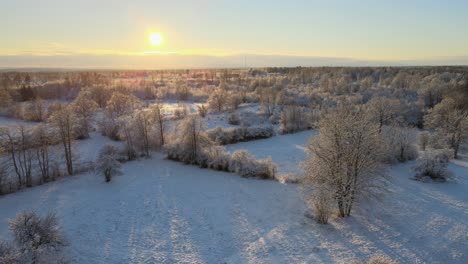 스웨덴 남부 카를스크로나(karlskrona)의 화창한 날 눈 덮인 풍경에 나무가 많은 아름다운 큰 들판의 공중 전망