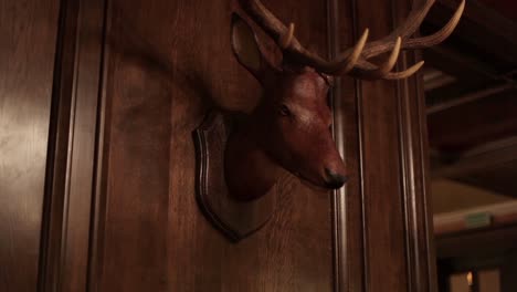 deer head mounted on wooden wall