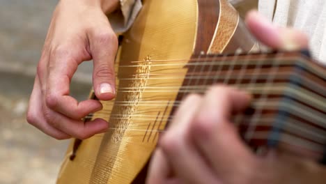 musician playing mandolin-close up