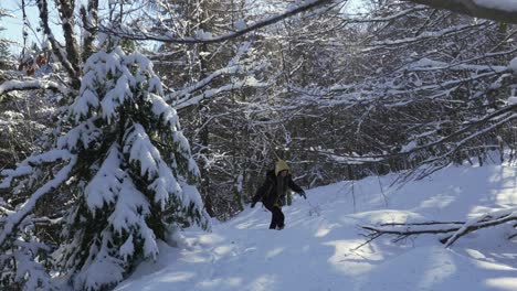 a tired young woman continues to conquer the snow covered trails of the vosges mountains