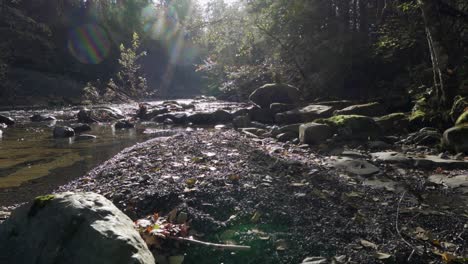 Viaje-Lento-A-Lo-Largo-De-La-Orilla-Del-Agua-En-Otoño