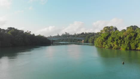 Traveling-through-mangroves-during-sunrise-near-Mombasa,-Kenya