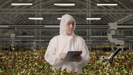 asian man researcher using tablet and looking around while standing in the greenhouse with smart robotic farmers