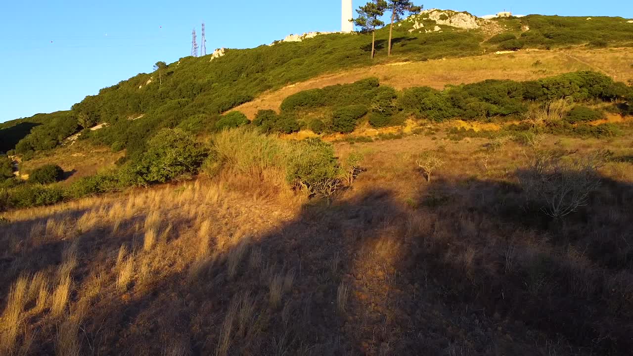 toma de drones de pequeños árboles y arbustos en la ladera de una colina al atardecer