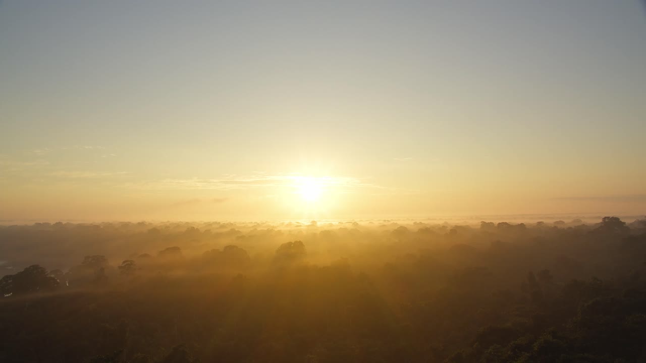 Hazy tree tops of a tropical rainforest during sunset, pan down shot