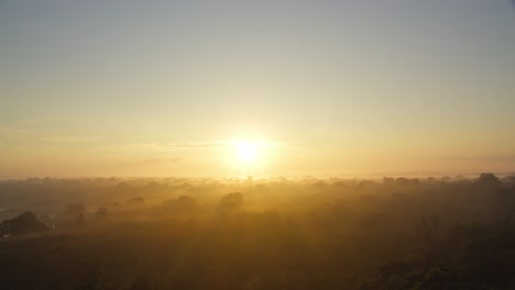 hazy tree tops of a tropical rainforest during sunset, pan down shot