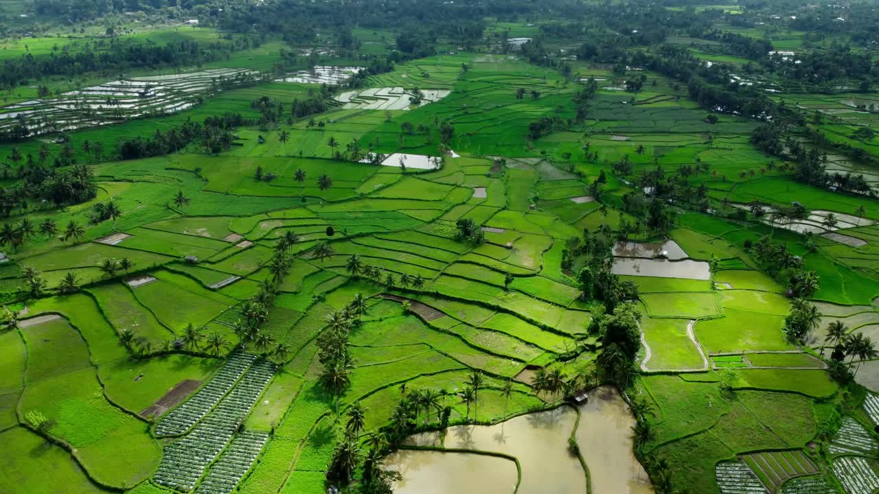 un vuelo suave sobre unos campos de arroz en lombok