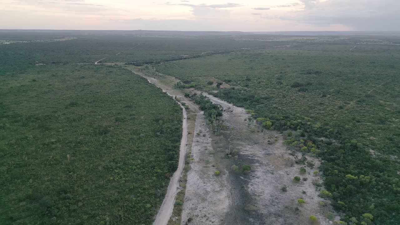 Letto asciutto del Cerrado brasiliano che serpeggia attraverso un terreno arido e screpolato, mettendo a nudo vegetazione degradata e palme buriti in un contesto di siccità, erosione e scarsità d'acqua