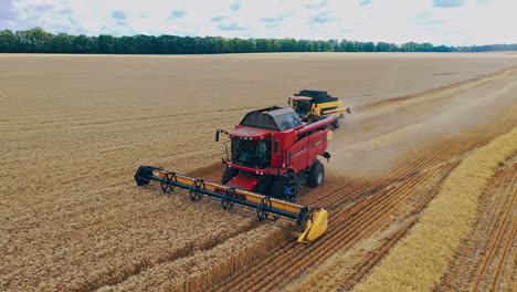 harvester working on wheat field. aerial view on the combine working on the large wheat field