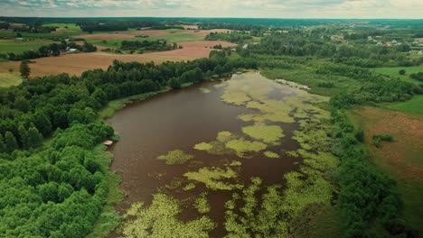 aerial view of a serene lake surrounded by lush forest and farmland