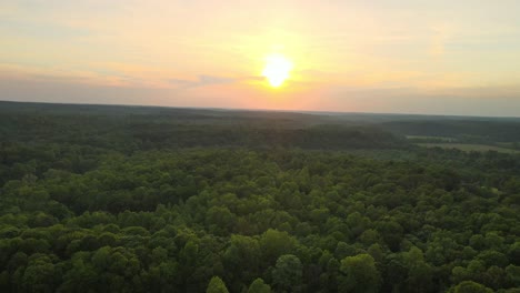 sideways aerial shot of the treetops in the countryside.