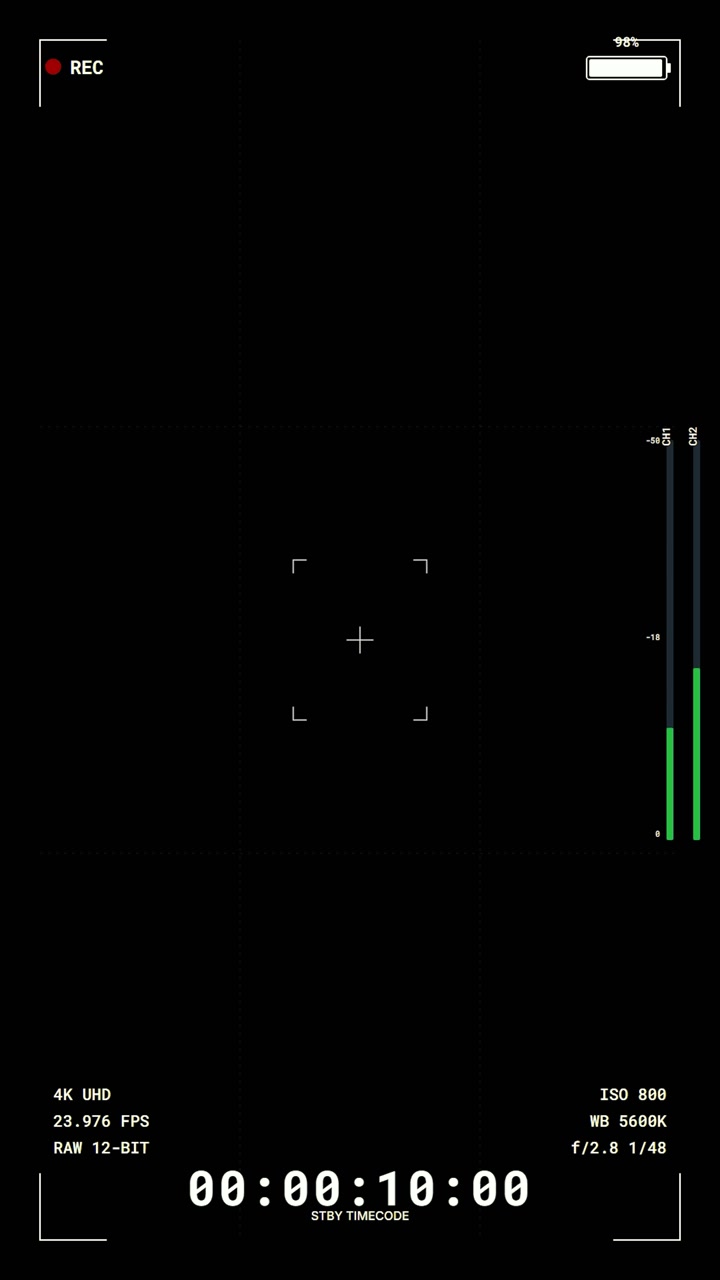 Digital Camera Viewfinder Interface Overlay
