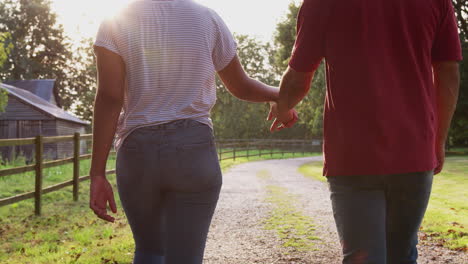 Vista-Trasera-De-Una-Pareja-Romántica-Caminando-De-La-Mano-A-Lo-Largo-Del-Camino-Rural-Al-Atardecer