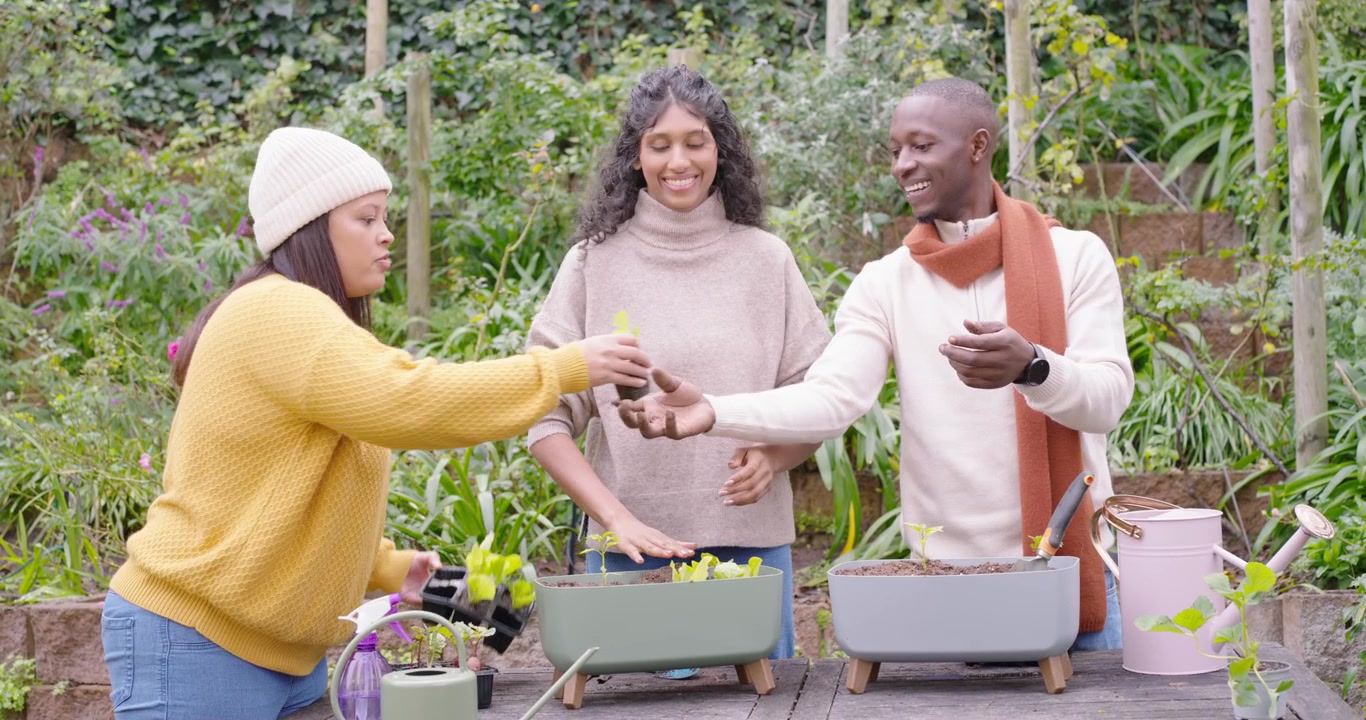Afroamerikanische Freunde pflanzen Setzlinge, bereiten Pflanzgefäße vor, gelber Pullover, helfen beim Anreichen eines Tabletts.