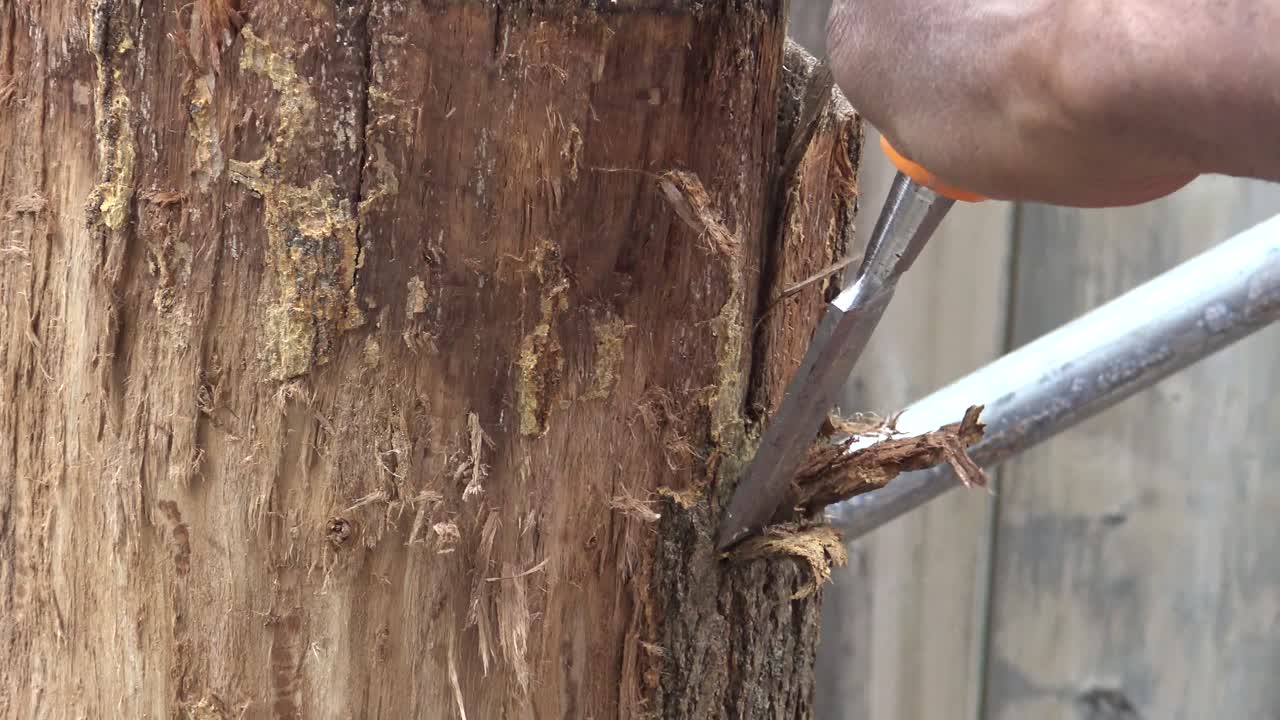 ⁇ とハンマーで手で木の皮を切っている男