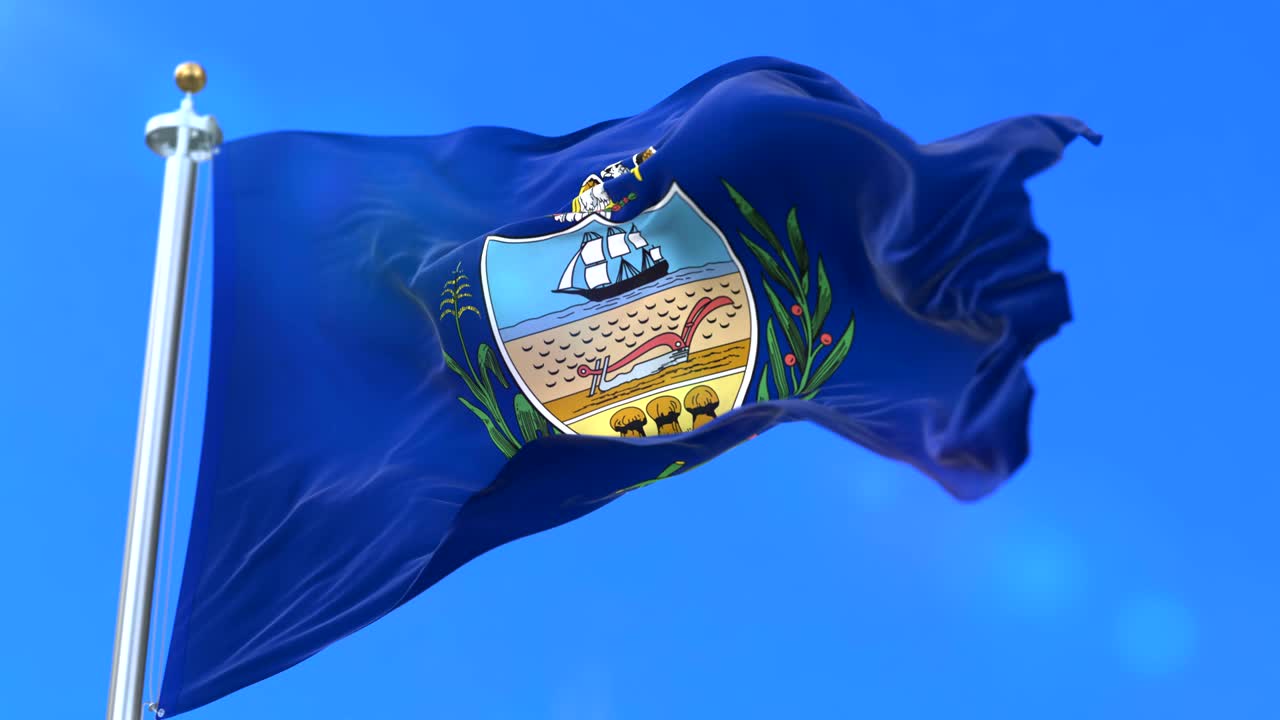 미국 펜실베이니아 주 알레게니 카운티의 발 - 루프