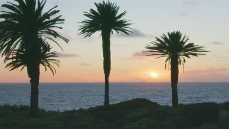 slow motion shot of sun setting into ocean behind clouds, through large palm trees with distant cargo ship on horizon