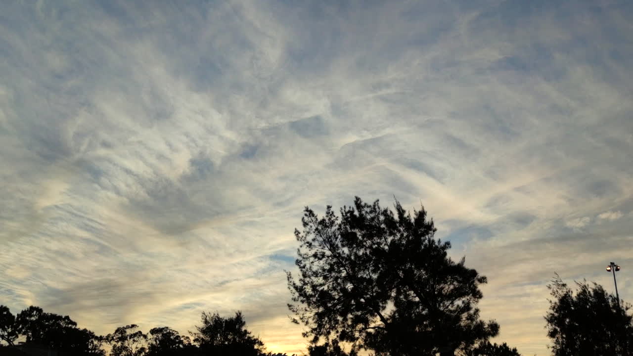 공원에서 나무 실루엣 풍경 위에 cloudscape와 일몰 하늘