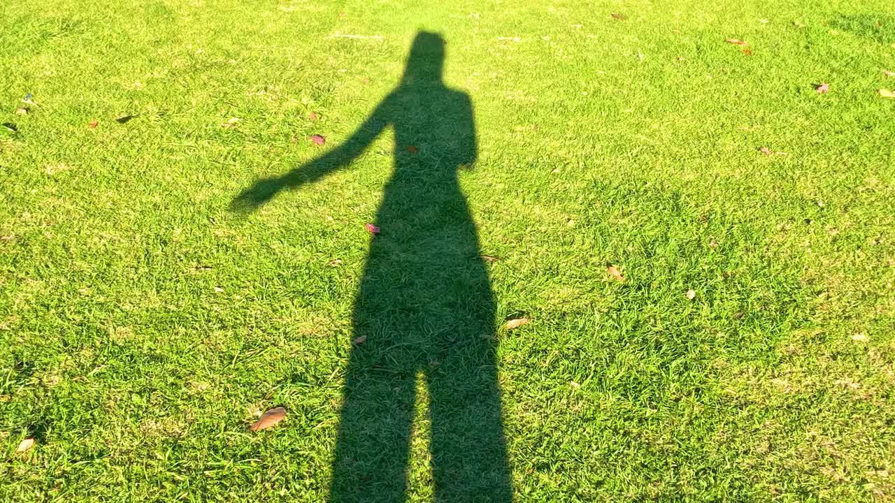 A playful shadow moves across vibrant green grass, creating dynamic shapes in the sunlight.