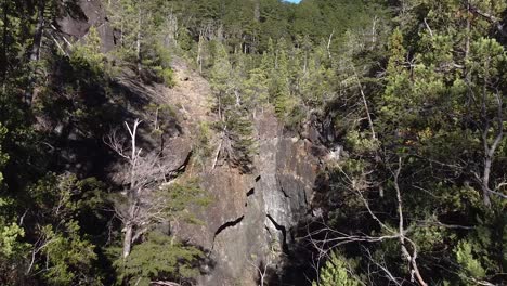 Stone-cliff-in-a-forest