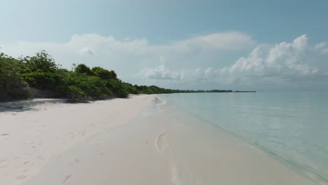 Una-Suave-Toma-De-Seguimiento-De-Una-Arboleda-A-Lo-Largo-De-La-Costa-Con-Arena-Blanca-De-La-Playa