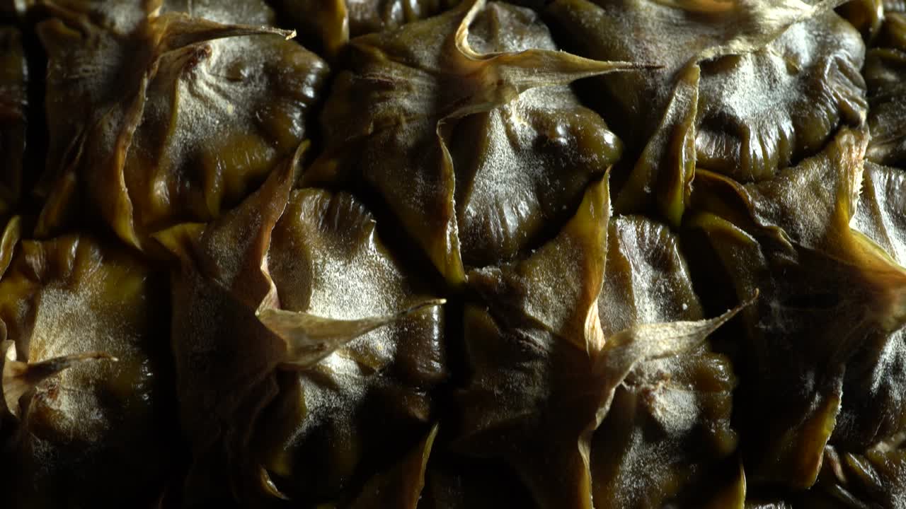 회전하는 파인애플