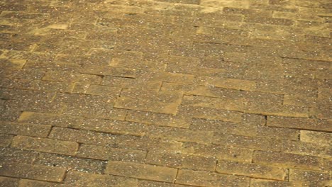 detailed view of a golden cobblestone pavement