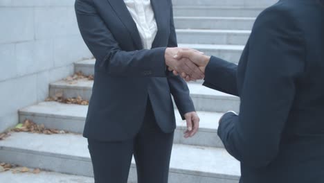밖에서 만나 악수하는 여성 비즈니스 파트너의 자른 샷
