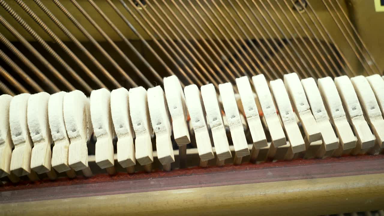 음악 악기의 작동 원칙.