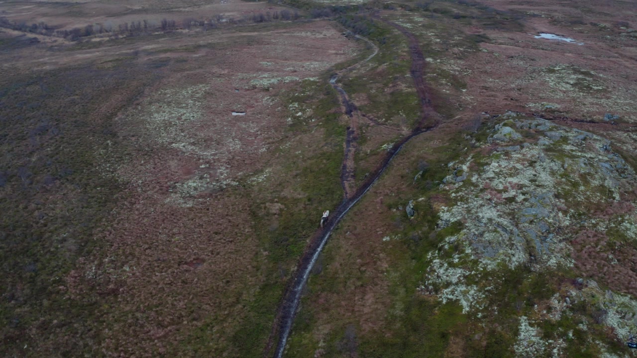 Ripresa aerea in movimento di una donna a cavallo lungo un sentiero attraverso un terreno piatto e brullo con alberi sparsi sullo sfondo, che cattura una scena esterna serena e cinematografica.