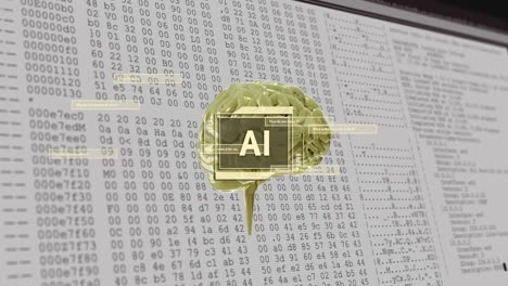 animación del cerebro sobre fondo de código hexadecimal