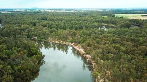 slow moving drone footage of the meandering murray river and eucalypt forest north of corowa, australia. november 2021.