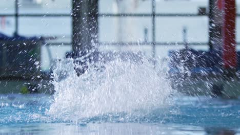 swimmer training in a swimming pool