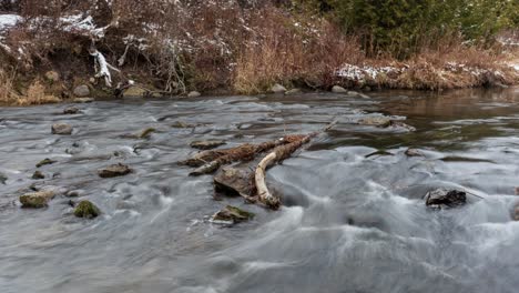 timelapse of river water rushing over rocks and branches in winter