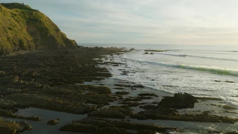 wild rugged rocky shoreline of north island in new zealand at dusk, golden hour