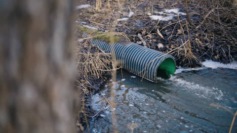 pan from behind tree of water flowing out of sewage pipe into nature