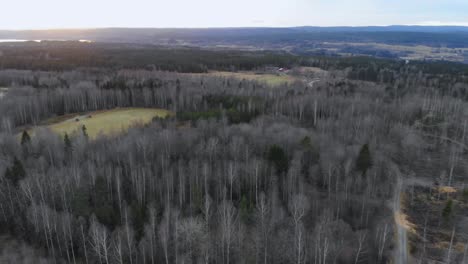 Von-Einer-Drohne-Aufgenommene-Landschaft-In-Der-Schwedischen-Natur