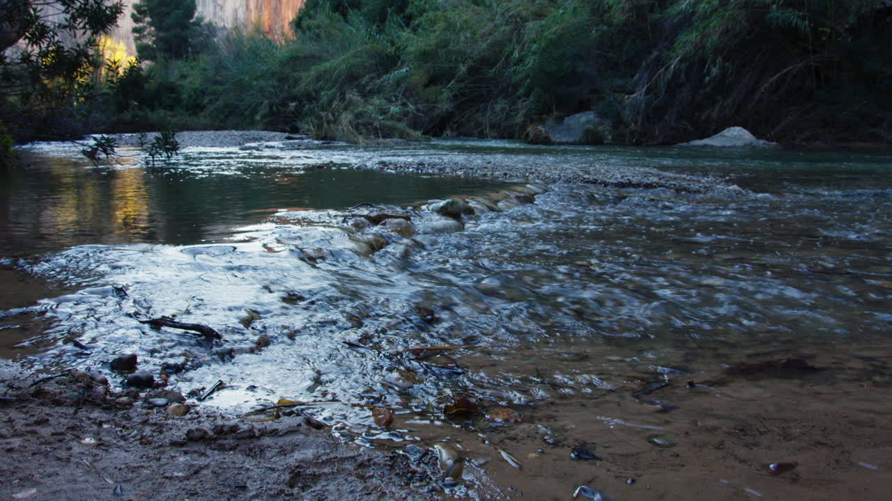 un arroyo que fluye sobre las rocas en un bosque