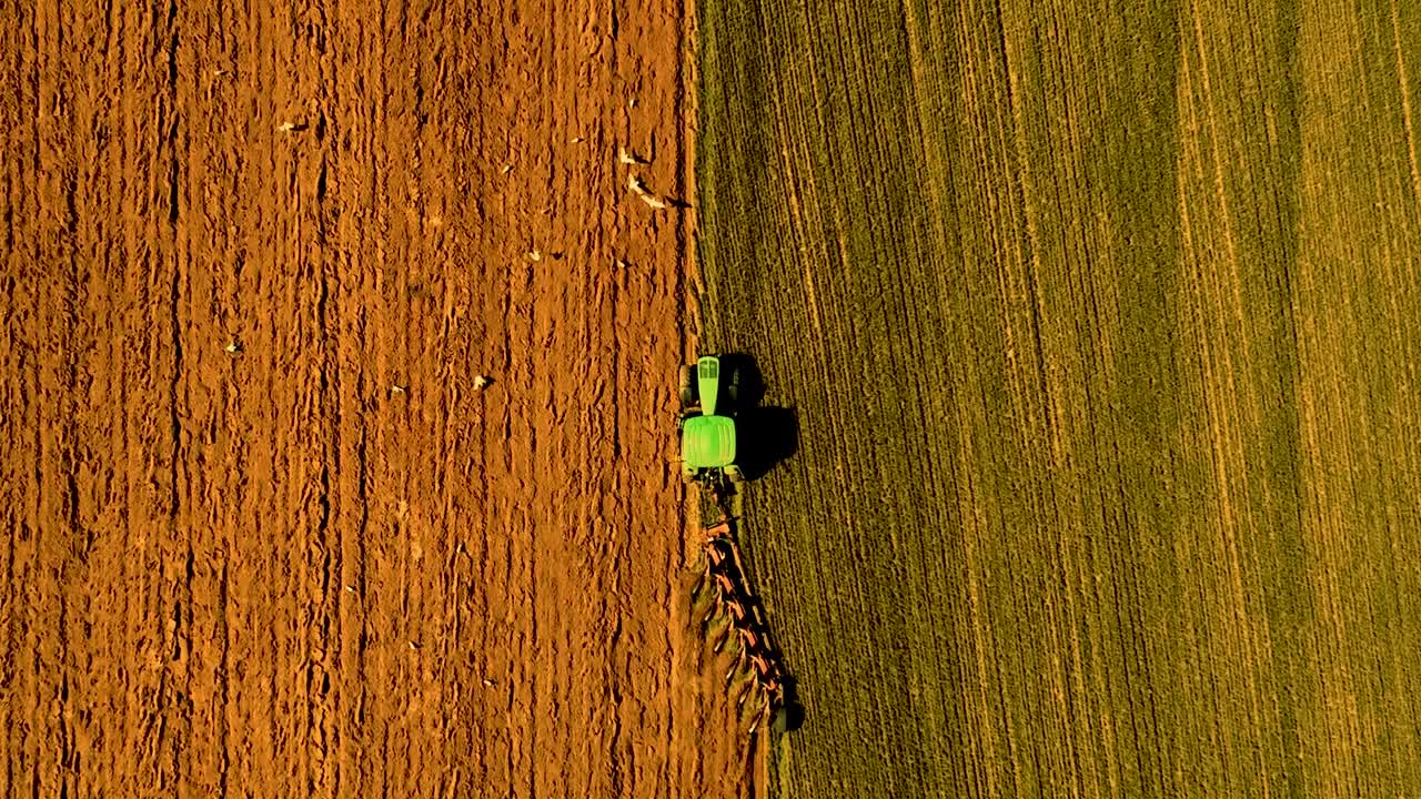 Video di un trattore verde che ara un campo, preparando i terreni agricoli per la semina e mostrando l'agricoltura moderna, il lavoro rurale e l'attività agricola stagionale.