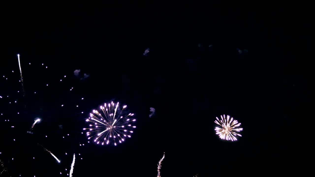 firework on night sky