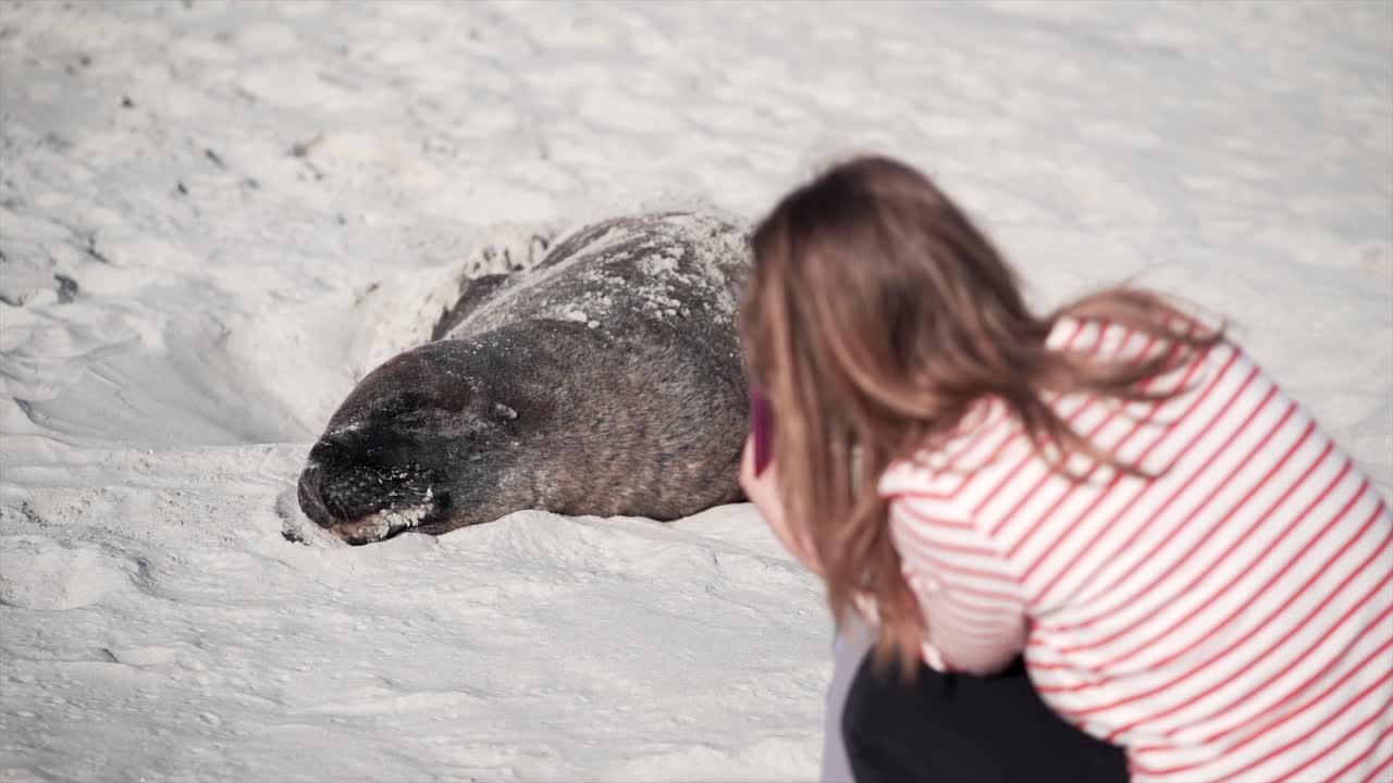 Woman photographing a seal on the beach