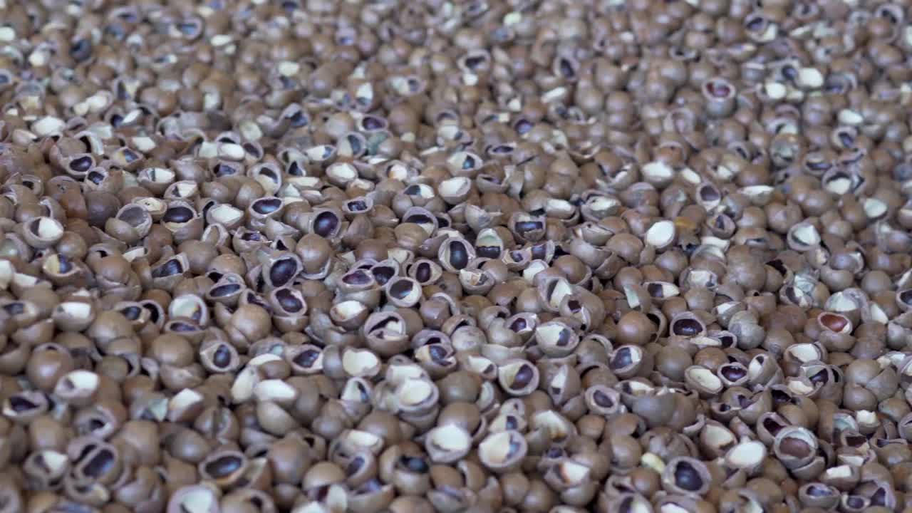 un montón de cáscaras de nuez de macadamia después de romperse